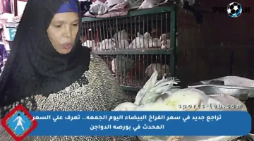 تراجع جديد في سعر الفراخ البيضاء اليوم الجمعة.. تعرف على السعر المحدث في بورصة الدواجن
